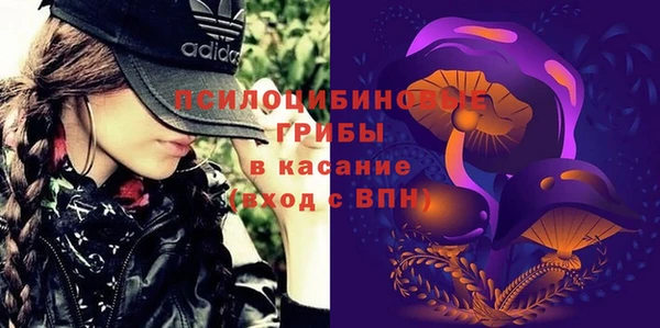 кокаин перу Богданович