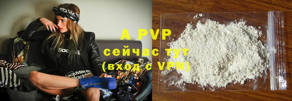 гашик Белокуриха