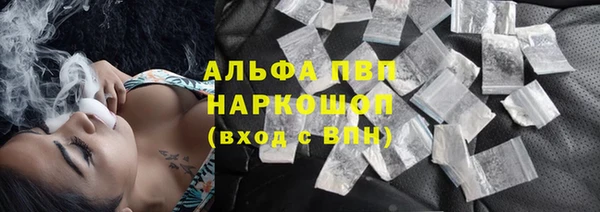 гашик Белокуриха