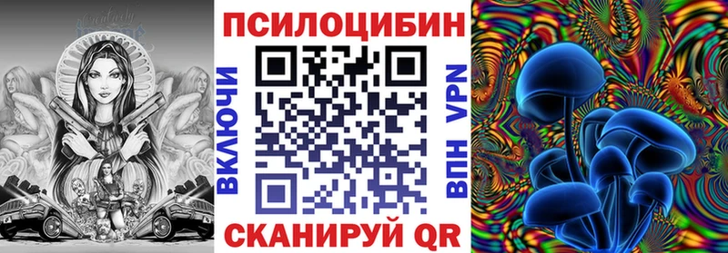 купить закладку  Красновишерск  Псилоцибиновые грибы Psilocybine cubensis 